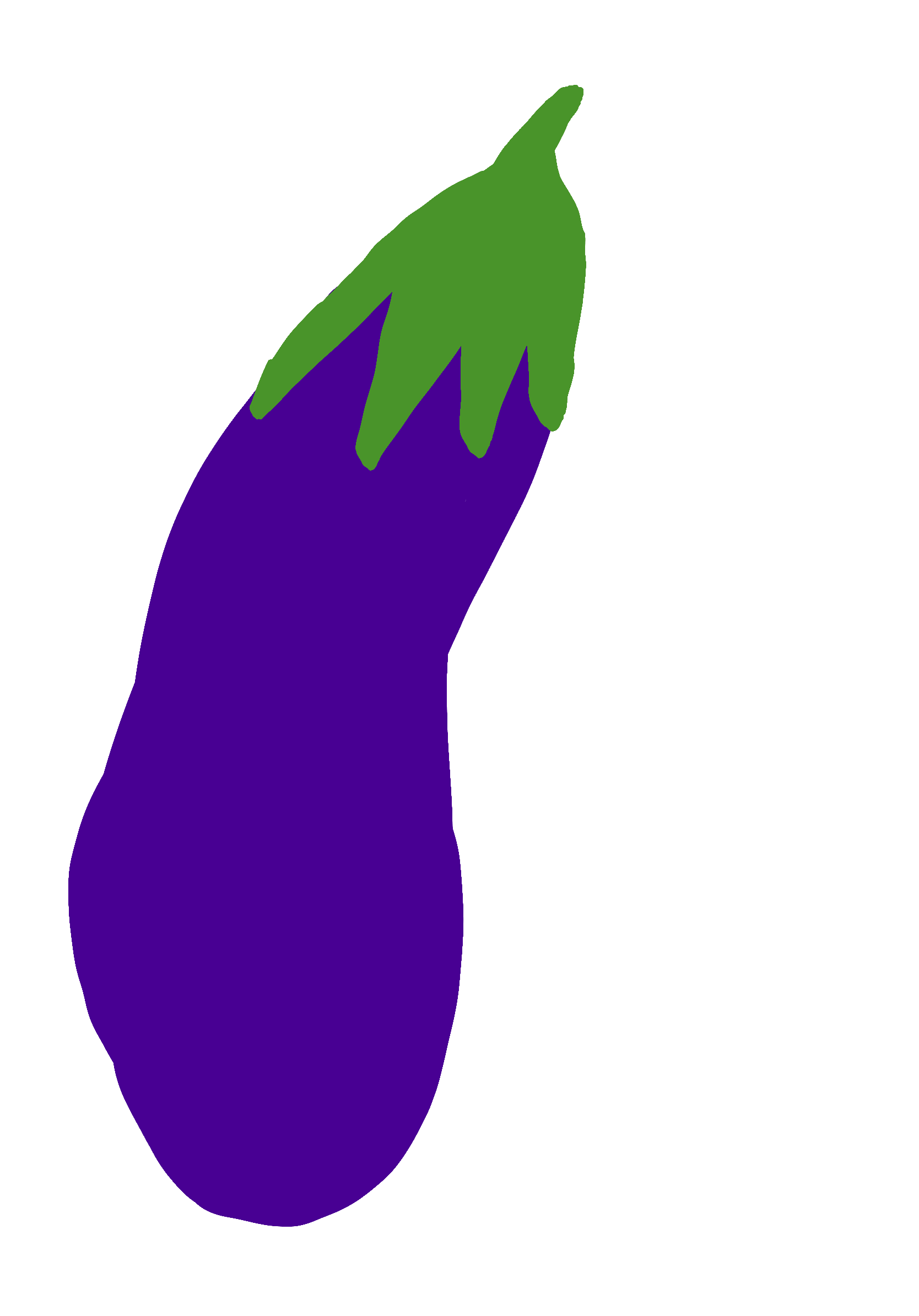 drawing of an eggplant